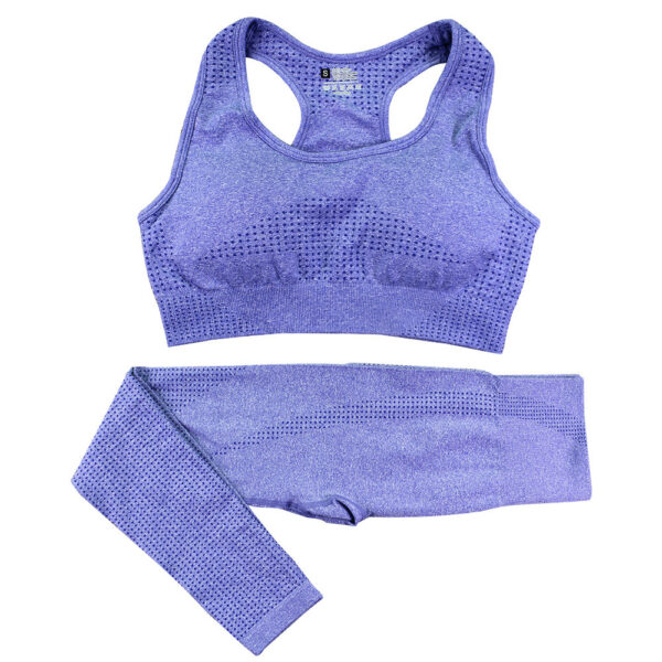 2PCS Seamless Yoga Set Women Tracksuit High Waist Leggings Workout Sportswear Gym Clothing Fitness Crop Top Sports Suits Gym Set - Image 2