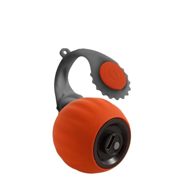 Pet With Gravity Sudden Ball Cat Toy Ball Automatic Funny Cat - Image 5